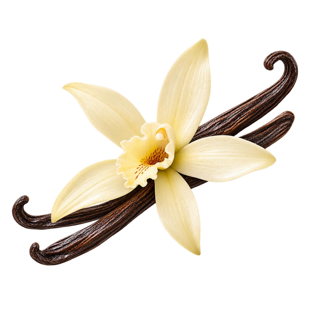 Baunilha